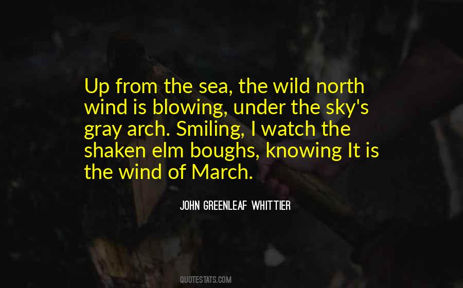 Quotes About The North Wind #983873