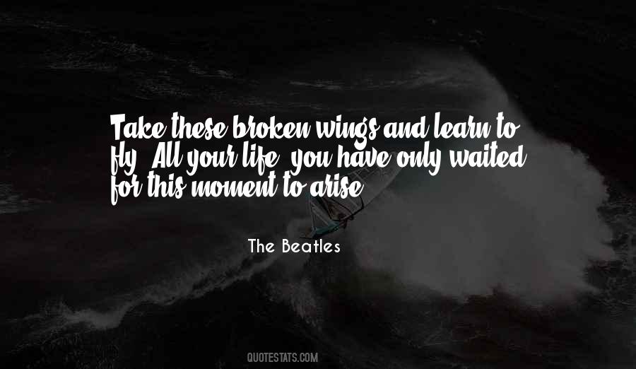 Quotes About Wings To Fly #71362