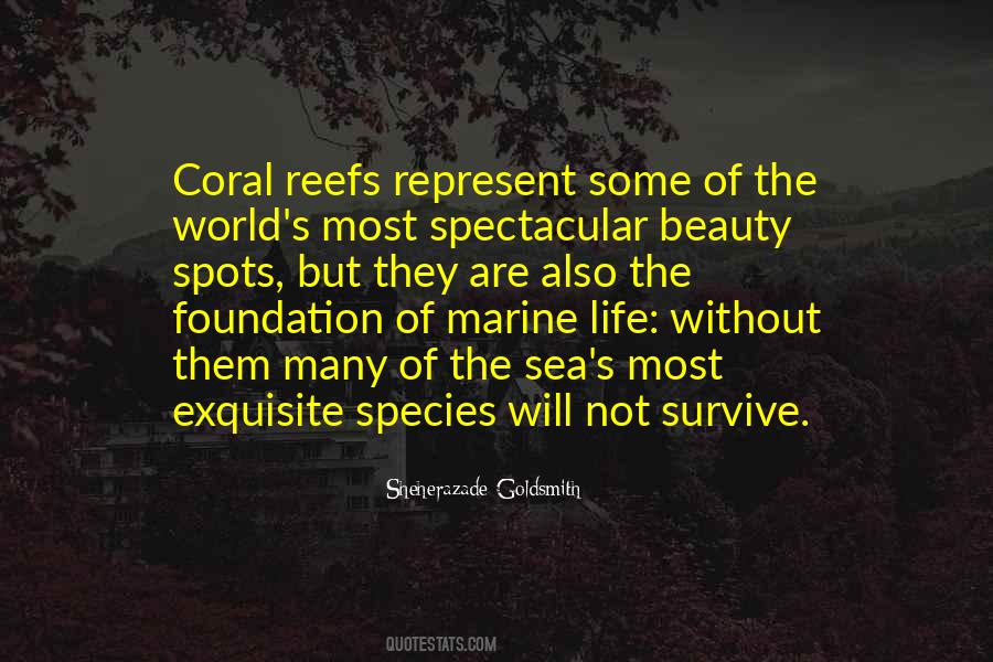 Quotes About Coral Reefs #593426