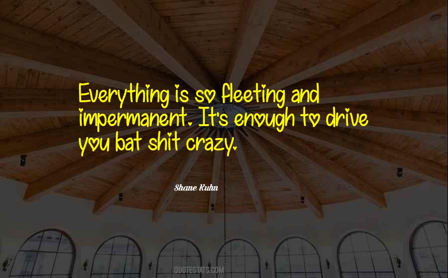 Quotes About Fleeting #1309979