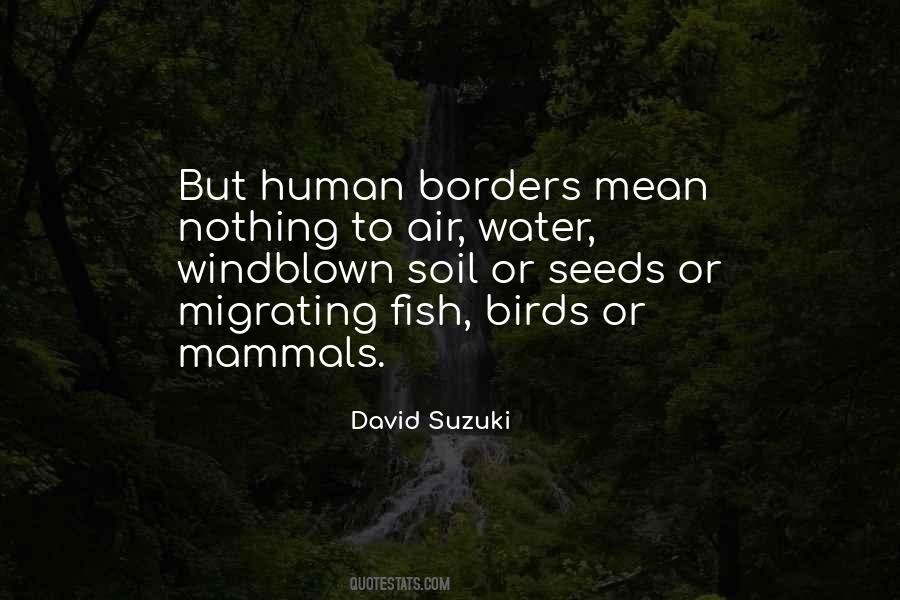 Quotes About Water Birds #1549871