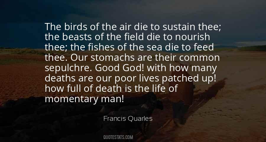 Quotes About Fishes In The Sea #8573