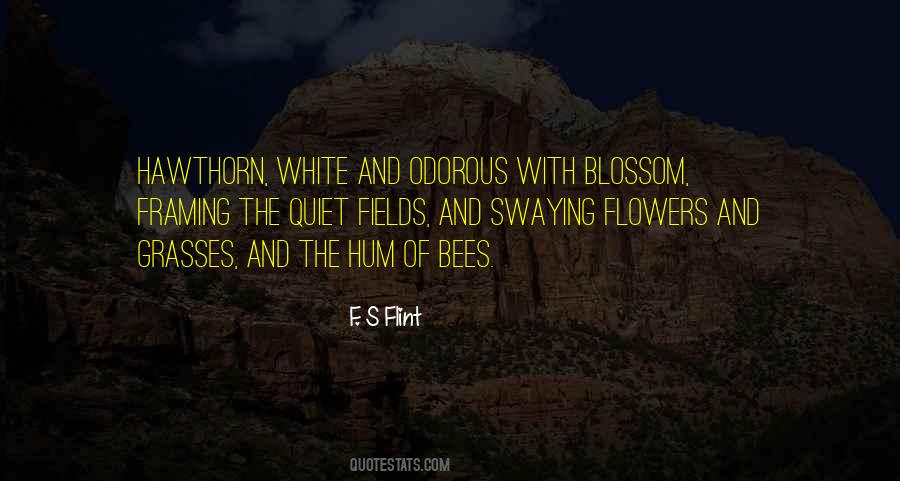 Blossom Flowers Quotes #1457792
