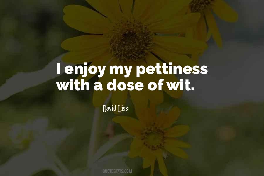 Quotes About Pettiness #655023