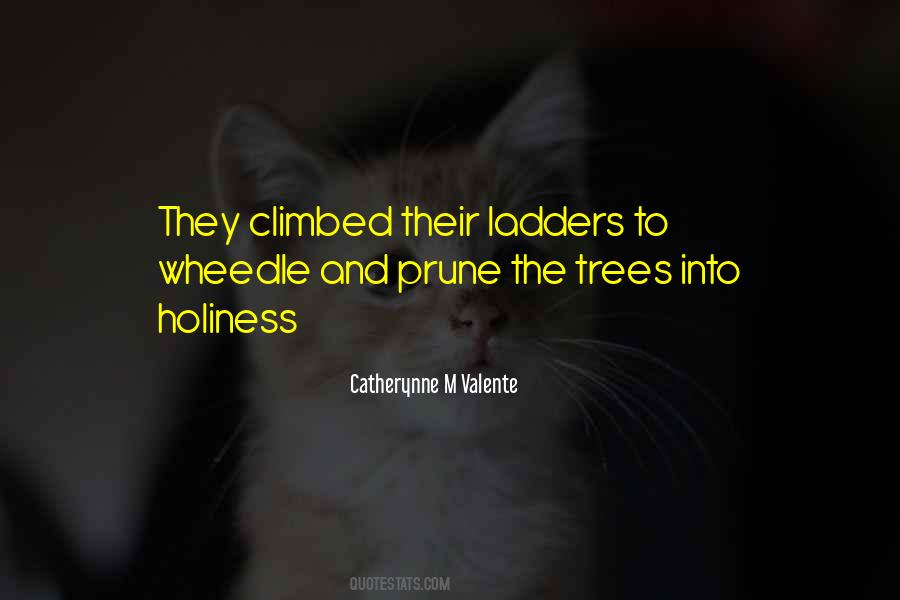 Quotes About Ladders #118755