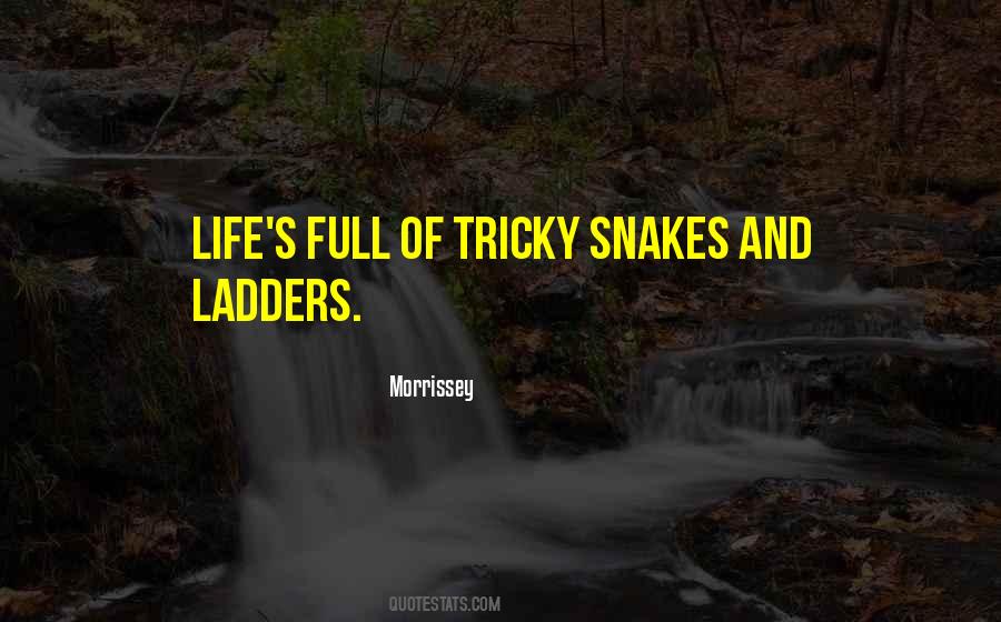 Quotes About Ladders #1650083