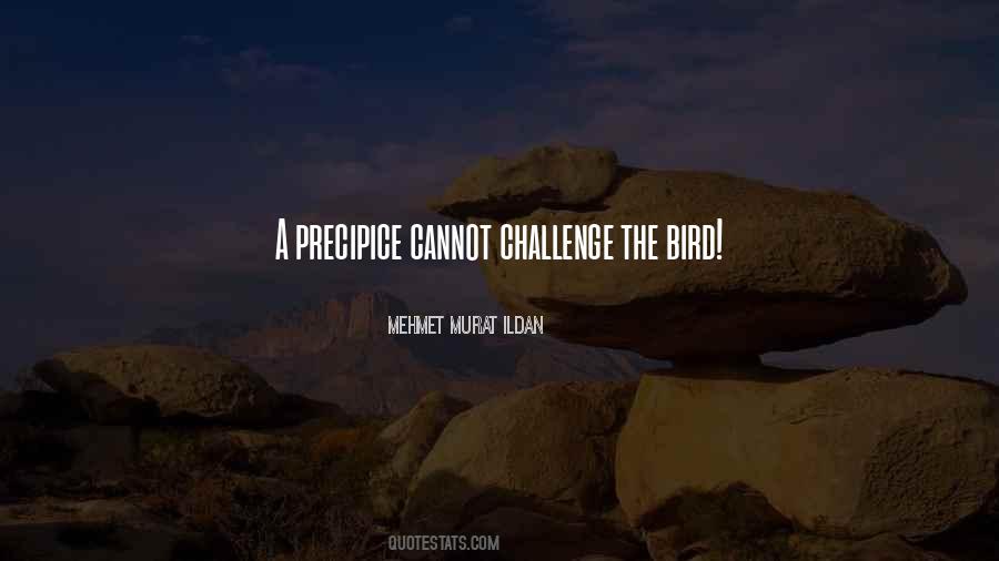 Quotes About Precipice #842312