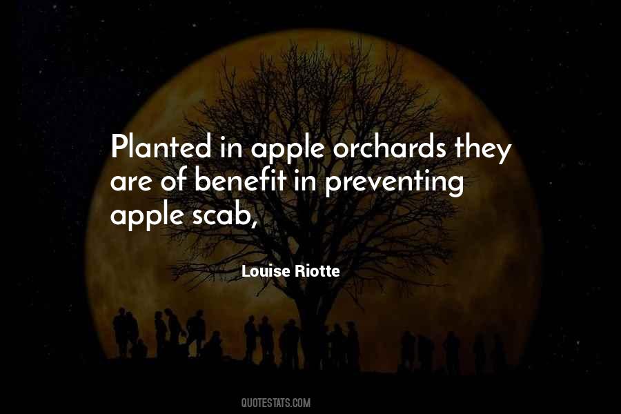 Quotes About Apple Orchards #1489538