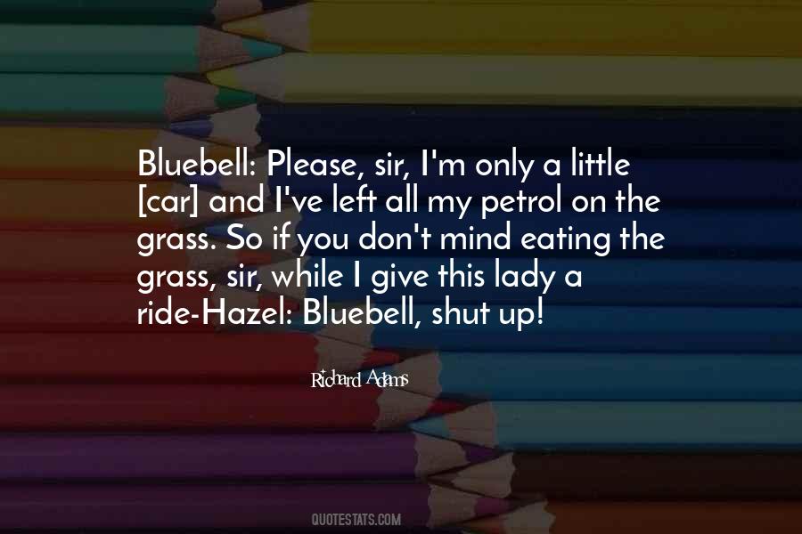 Little Lady Quotes #234926