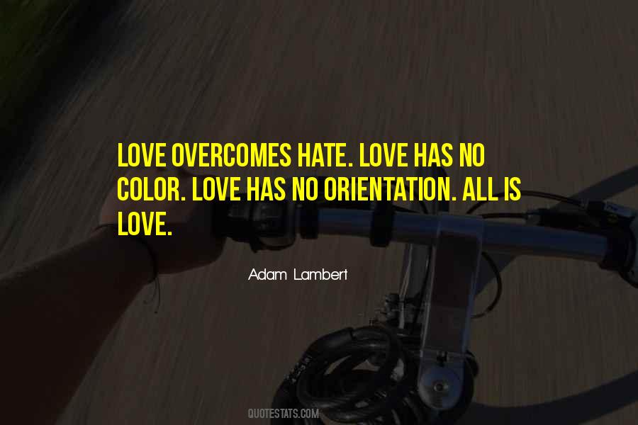 Quotes About Hate Love #489864