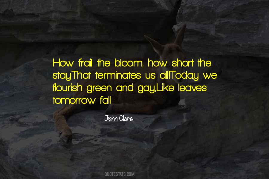Quotes About Transience #1830920