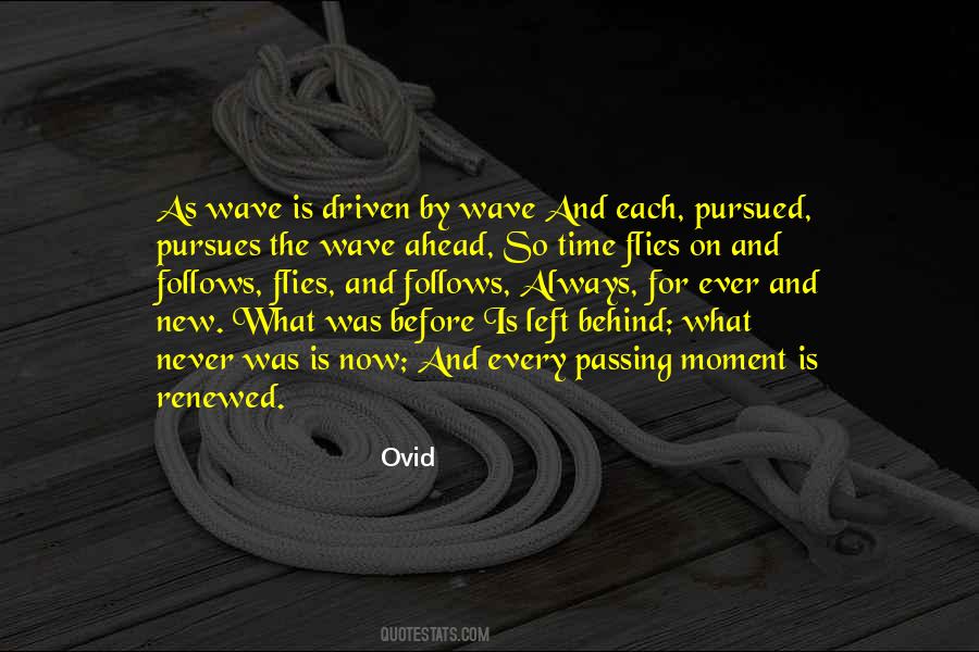 Quotes About Transience #967304