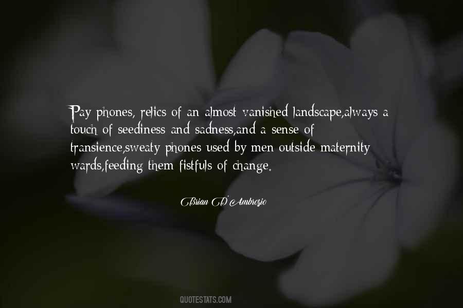 Quotes About Transience #982039