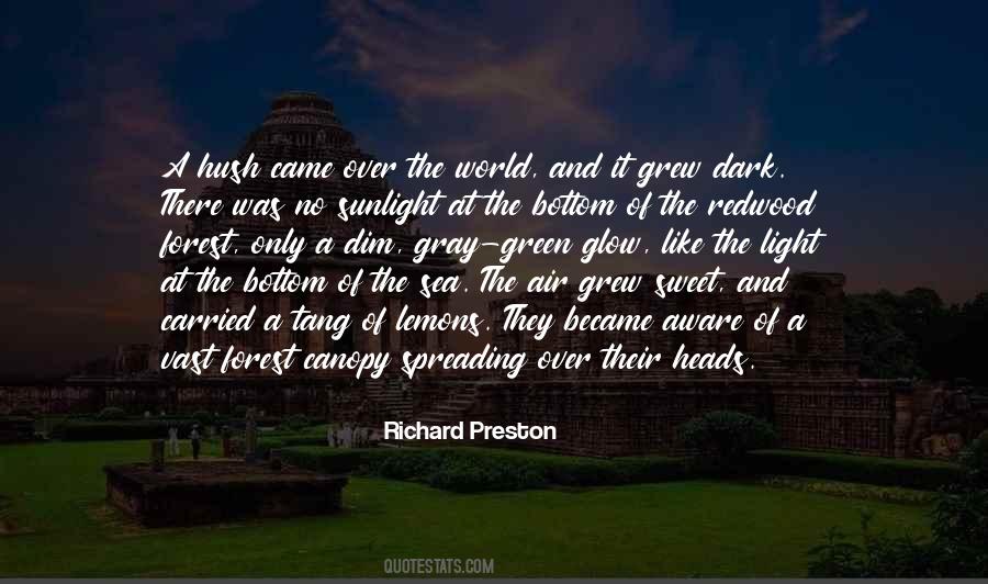 Dark Trees Quotes #1386061