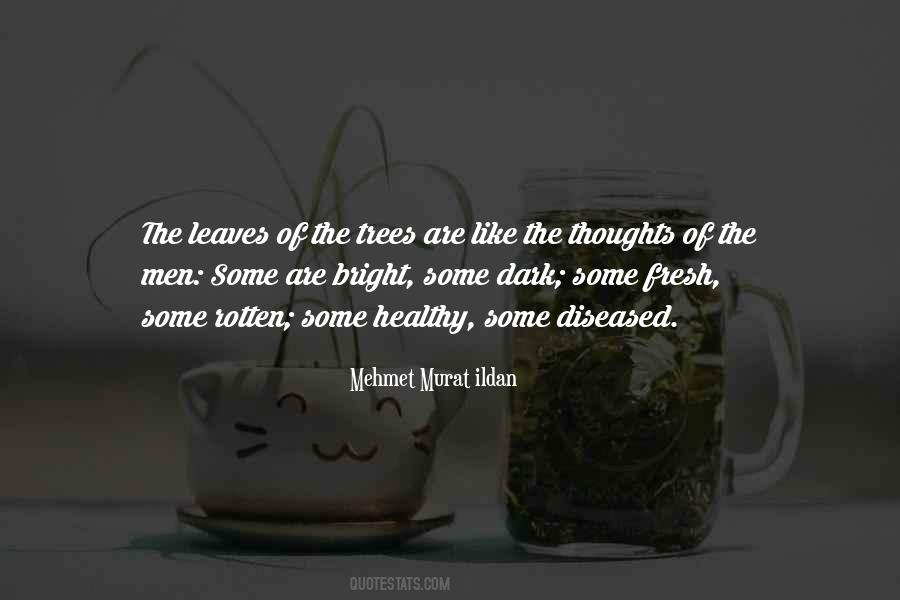 Dark Trees Quotes #1450133