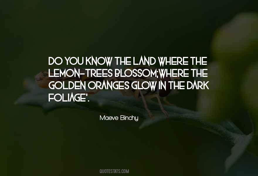 Dark Trees Quotes #1487033