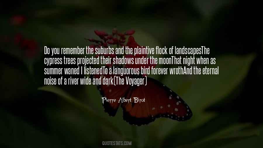 Dark Trees Quotes #1575123