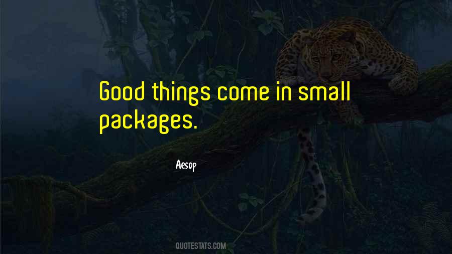 Quotes About Good Things Come In Small Packages #1754225