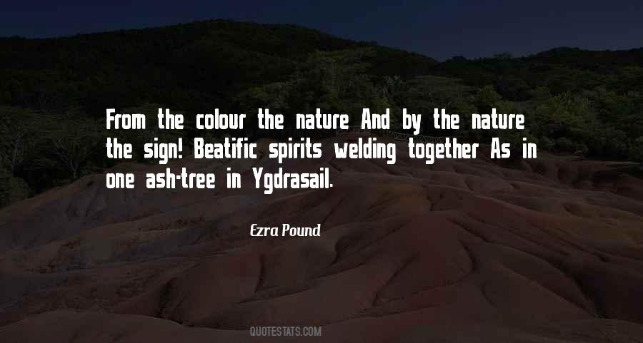 Quotes About Colour In Nature #1475558