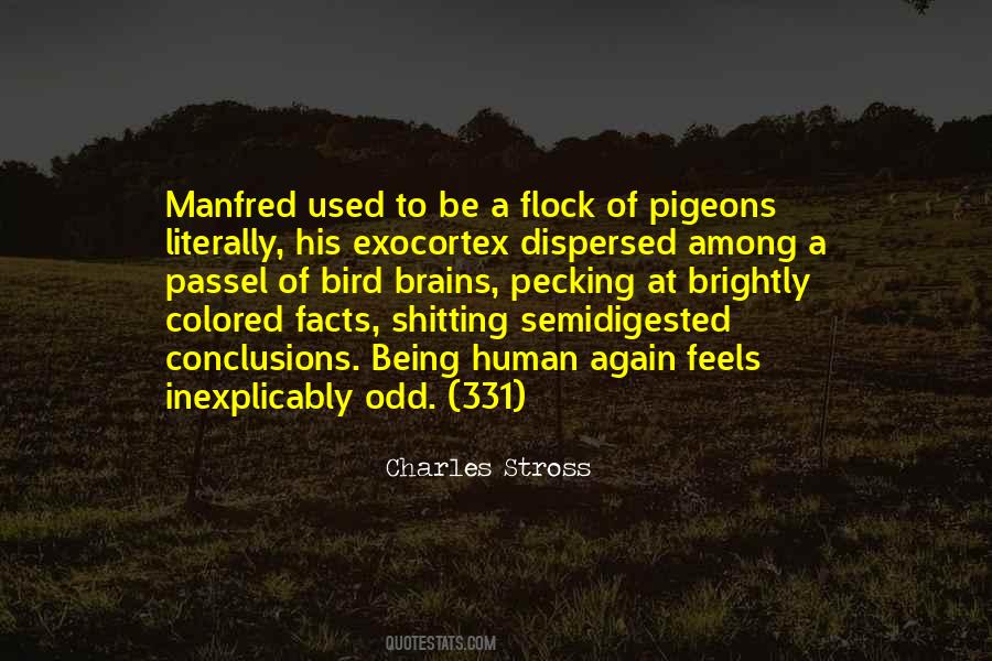 Quotes About Bird Brains #1306714