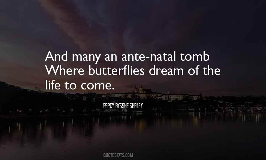 Quotes About Butterflies And Life #1085725