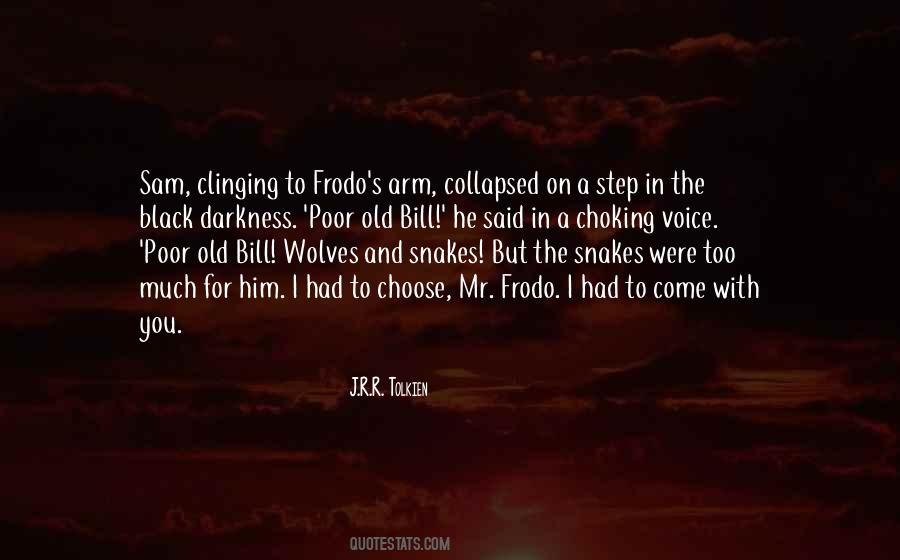 Quotes About Frodo And Sam #173822