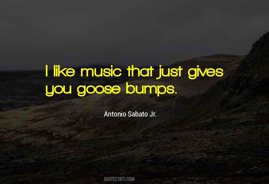 Sabato Jr Quotes #1673814