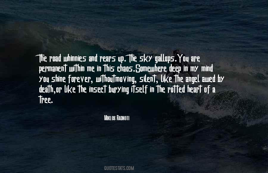 Quotes About Burying #369720