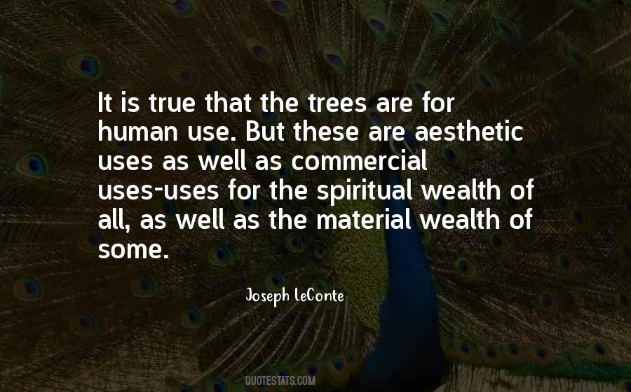 Quotes About Material Wealth #1699526