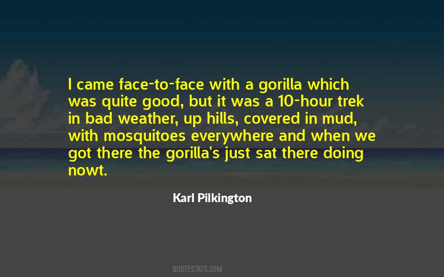 Quotes About Mosquitoes #157415