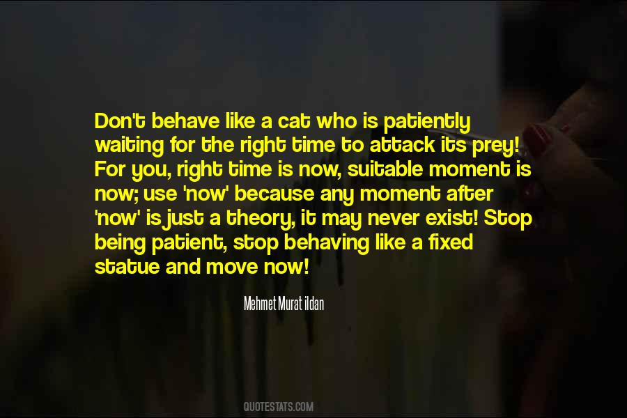 Quotes About Waiting For Right Time #44502