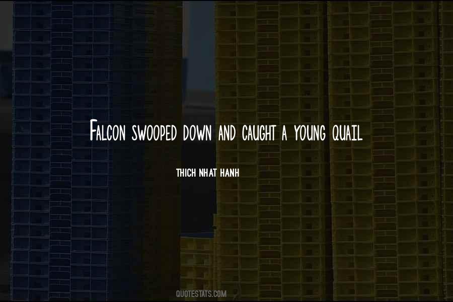 Swooped In Quotes #801111
