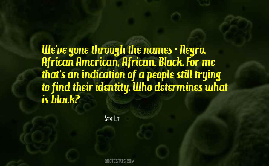 Quotes About African American Identity #773355