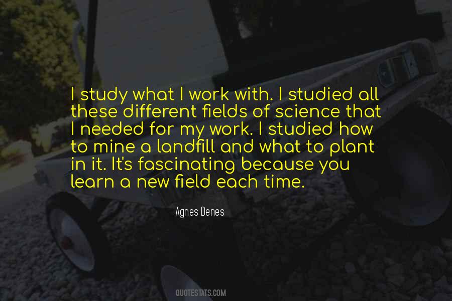 Quotes About Field Work #540090