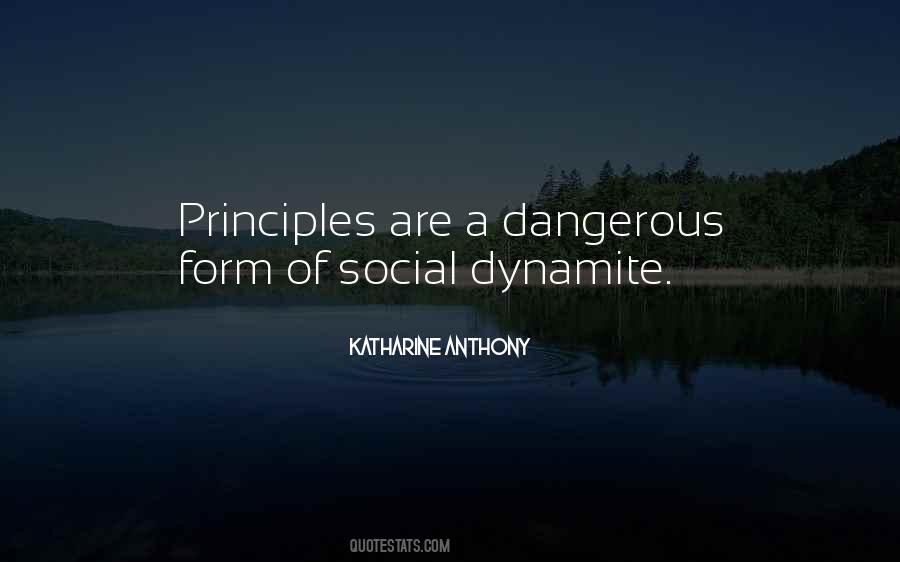 Principles Social Quotes #783464