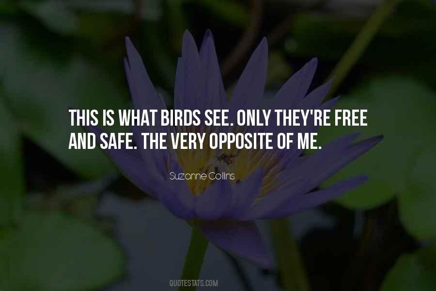 Quotes About Free Birds #1392319