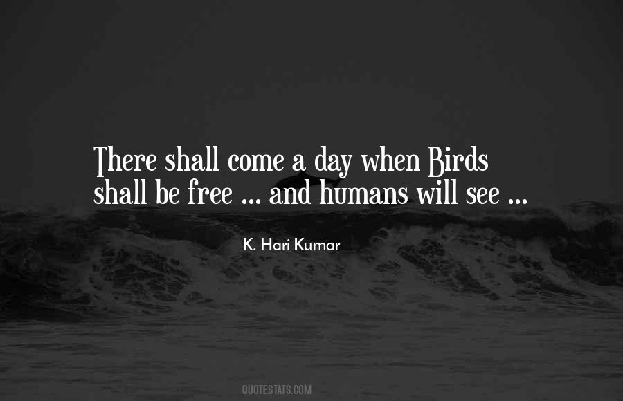 Quotes About Free Birds #449721