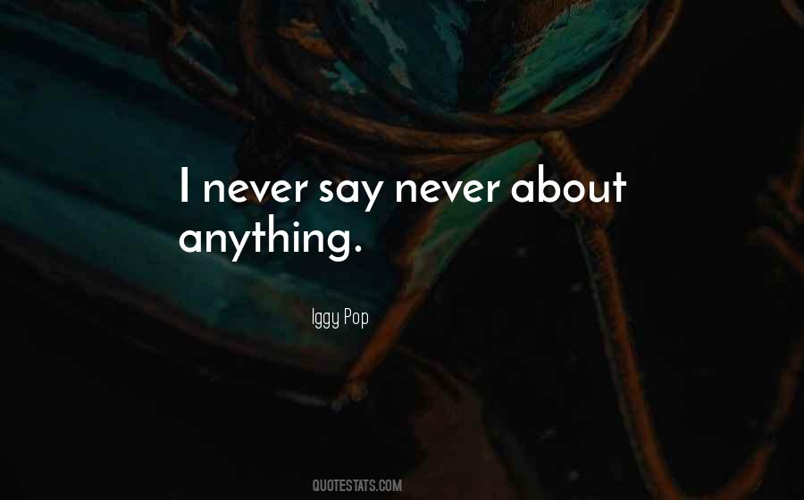 Quotes About Never Say Never #1864431