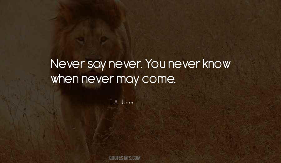 Quotes About Never Say Never #537283