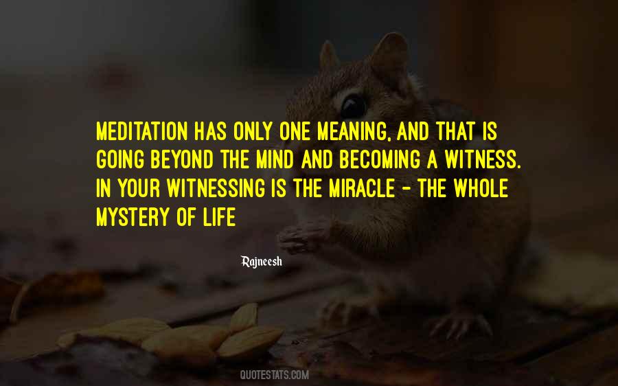 Quotes About Witnessing A Miracle #90664