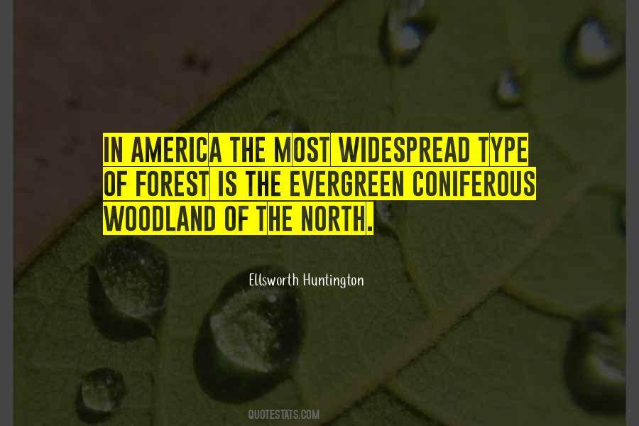 Quotes About Woodland #937629