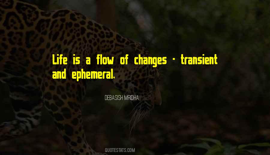 Quotes About Life Flow #252207