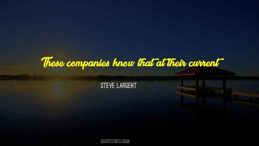 Quotes About Big Companies #13540