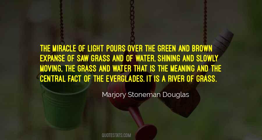 Green Light On Quotes #446600