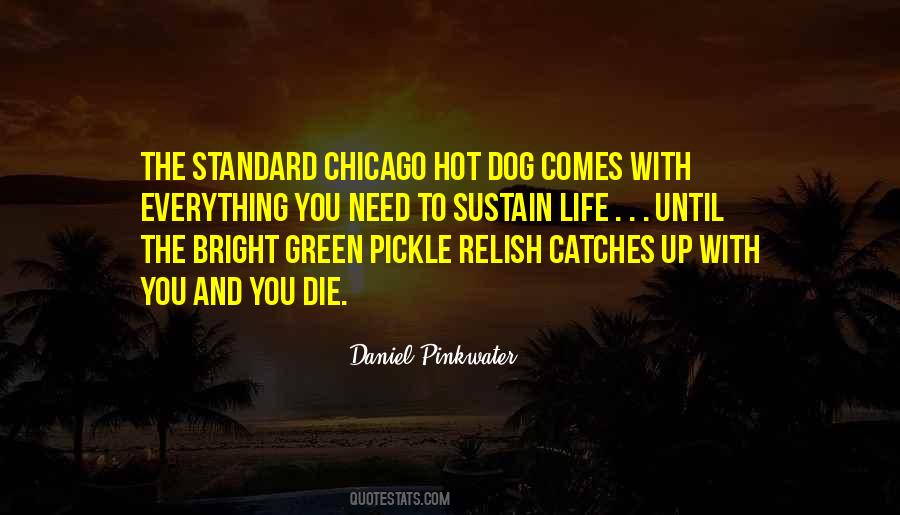 Hot In Chicago Quotes #1002367