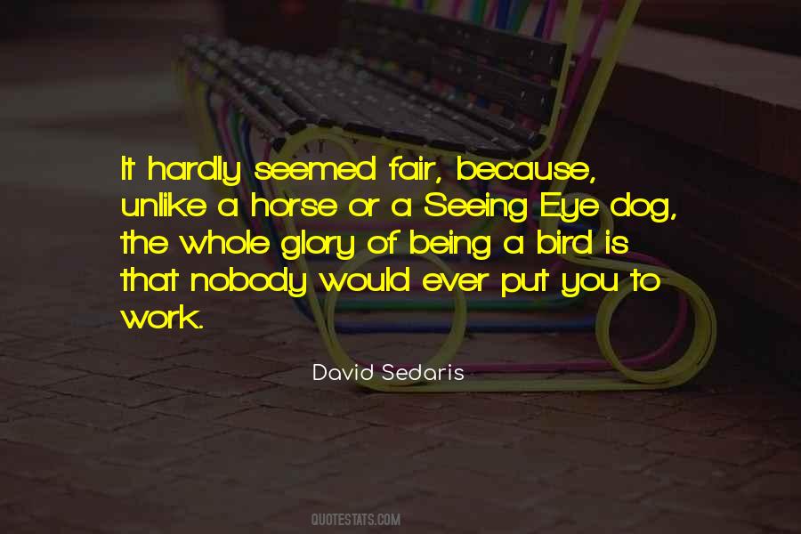 Bird Eye Quotes #1341744
