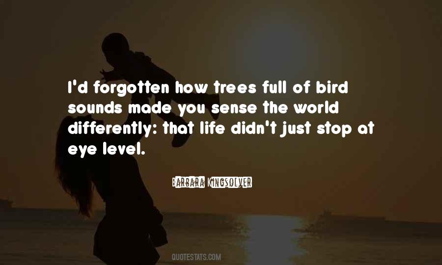 Bird Eye Quotes #1399123