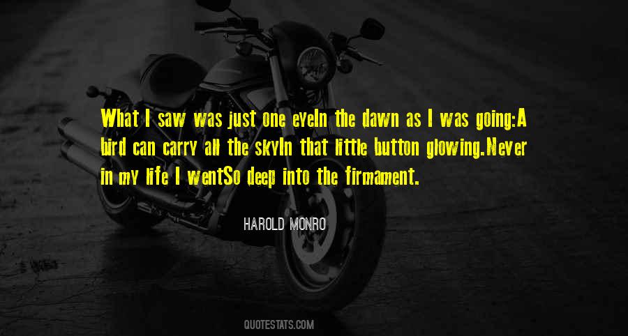 Bird Eye Quotes #814480