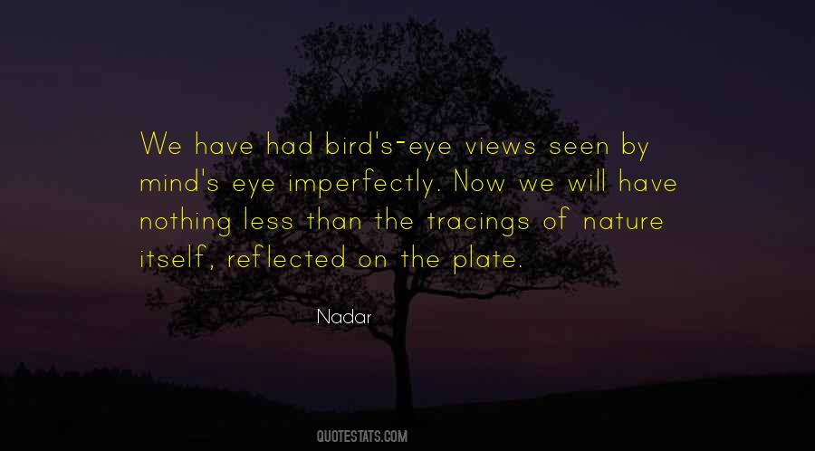 Bird Eye Quotes #895326