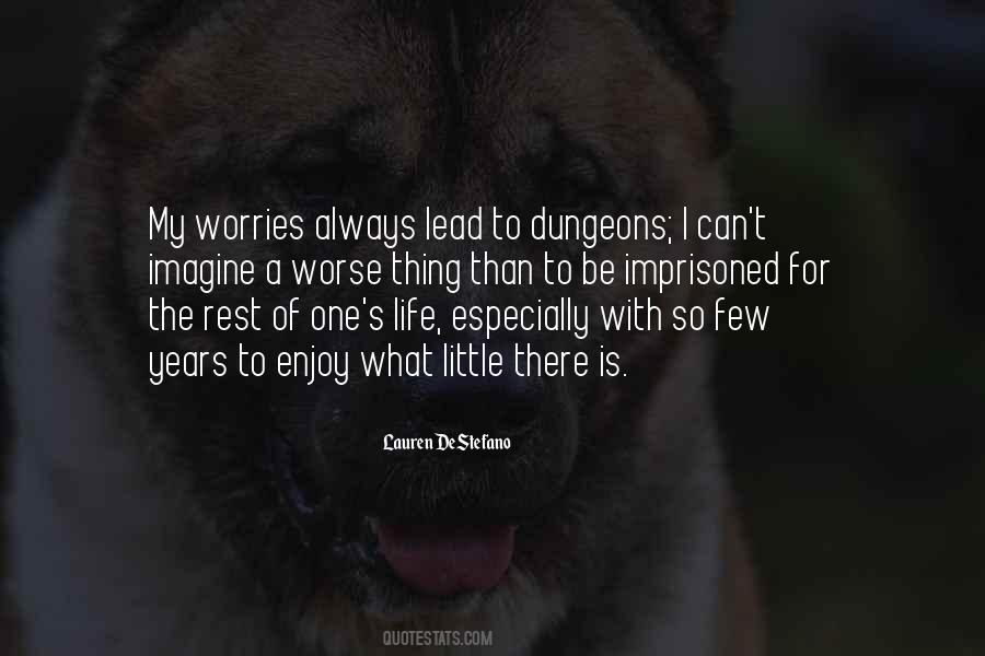 Life Worries Quotes #1511337